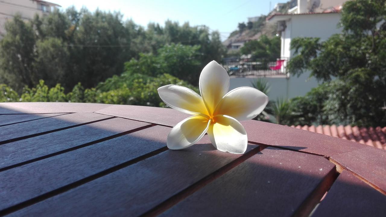 Plumeria Flowery Ágios Kírykos Extérieur photo