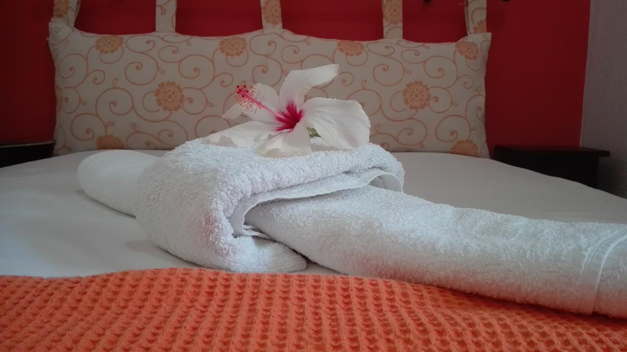 Plumeria Flowery Ágios Kírykos Extérieur photo